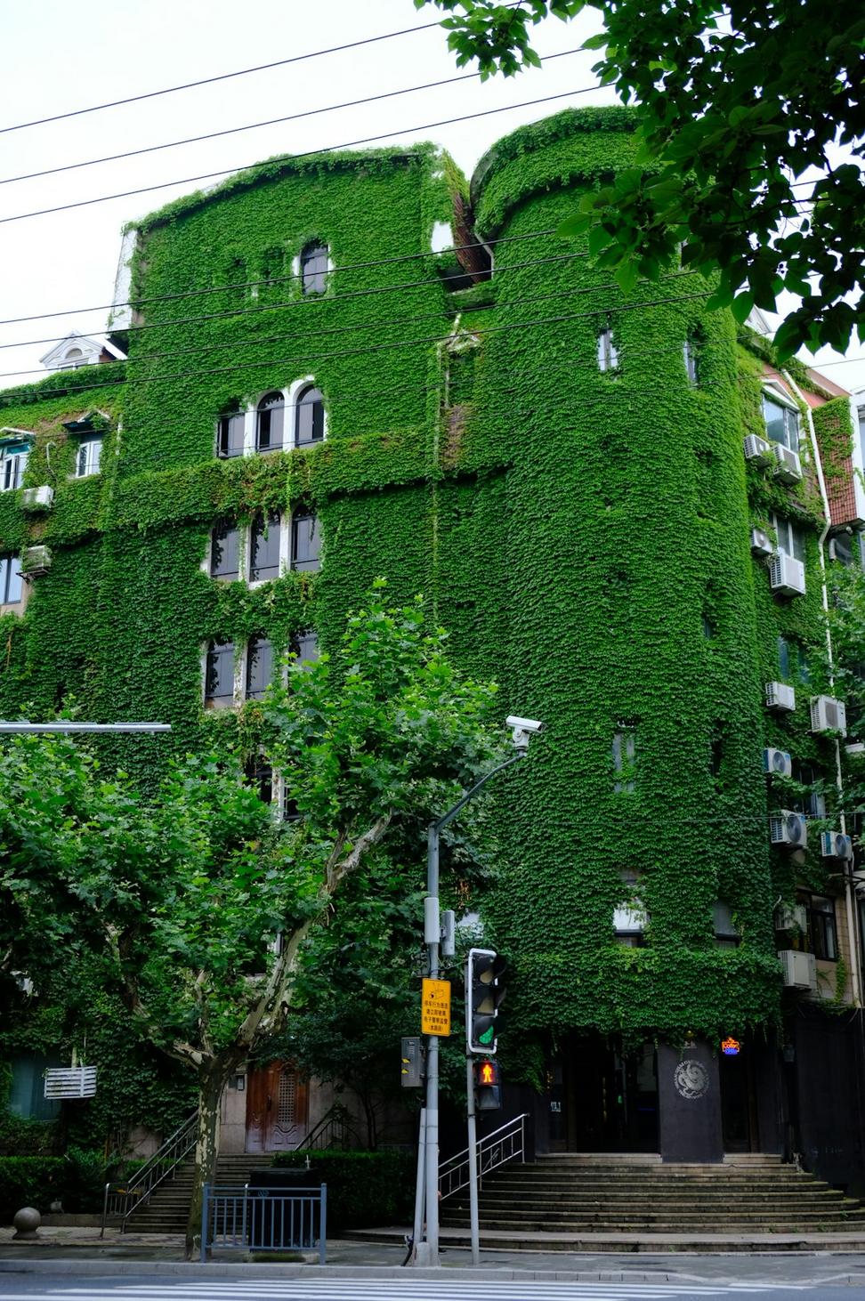 Leslieville Passive House