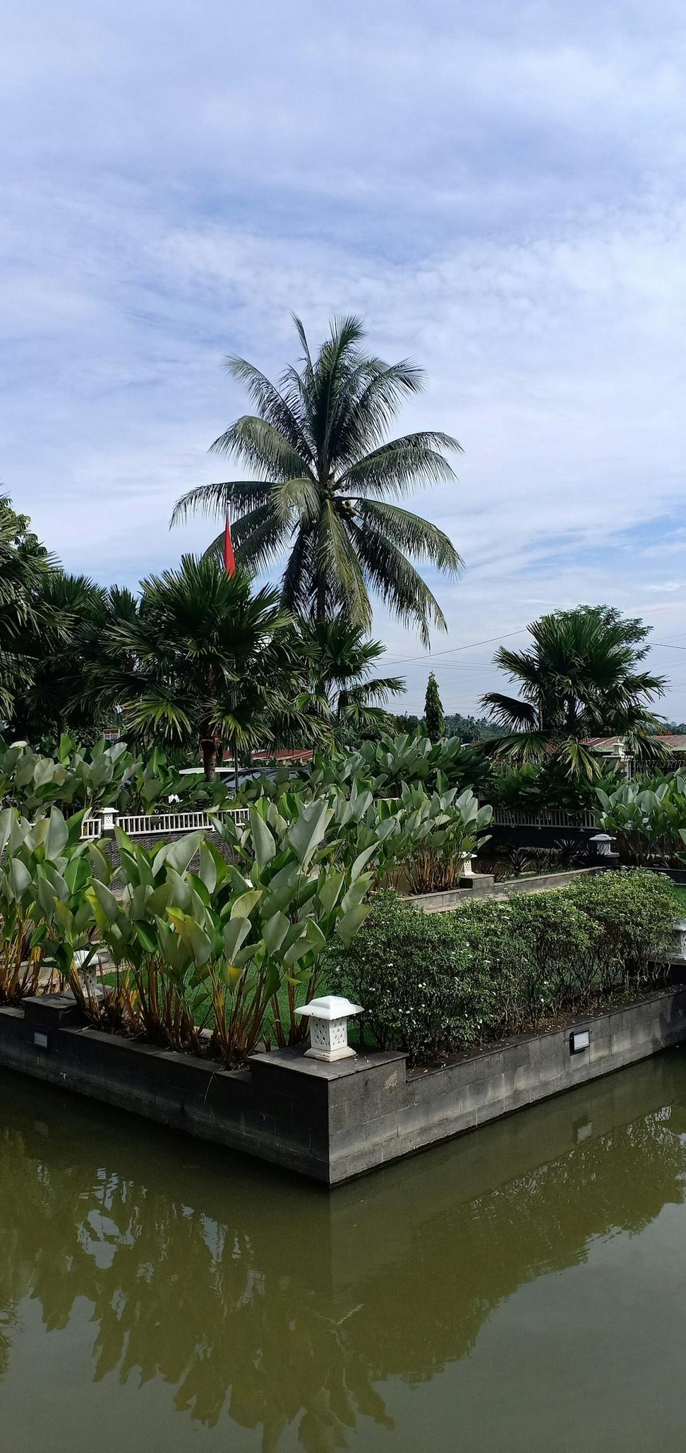 Green roof